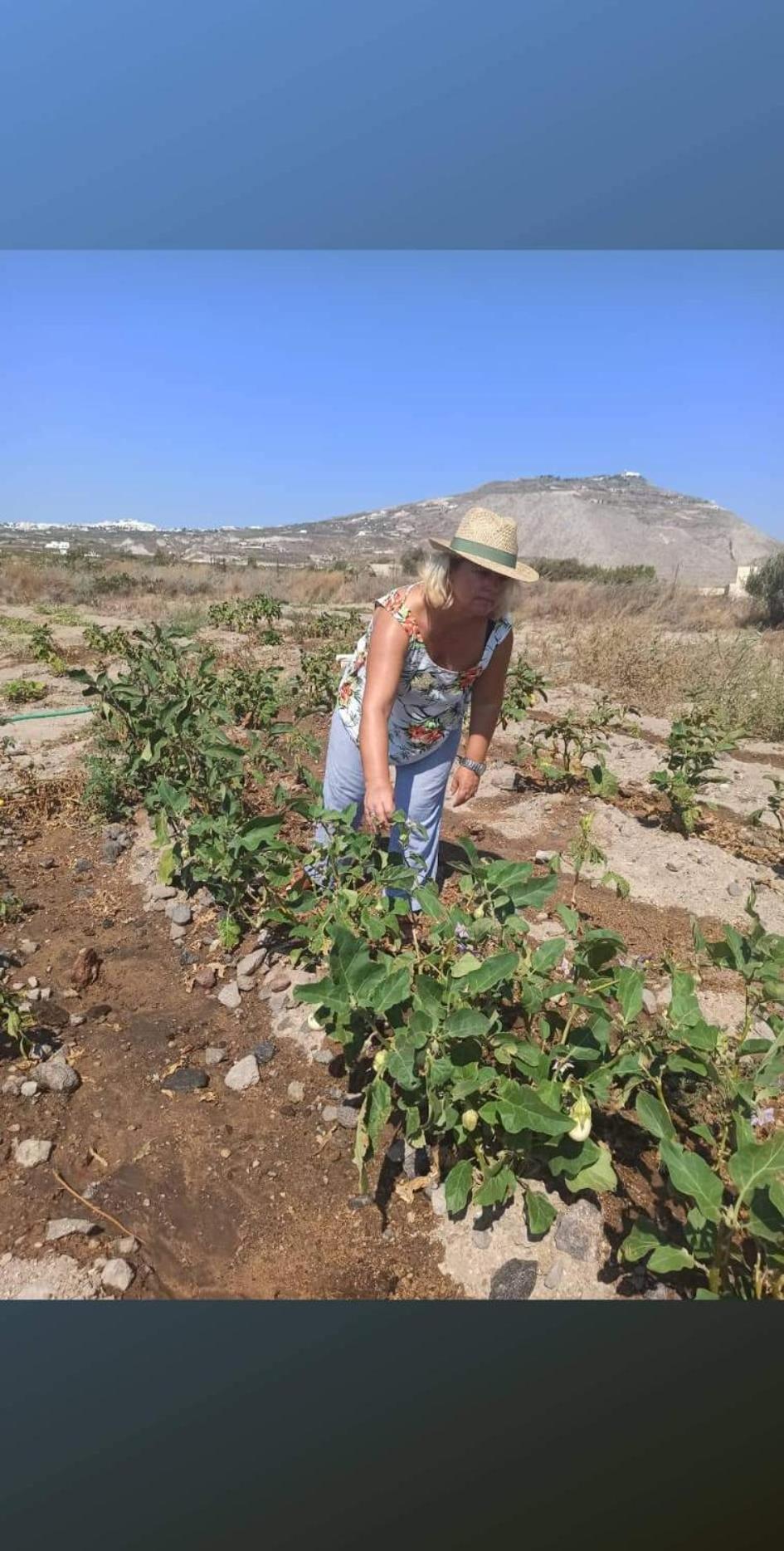 Ab Green Living Santorini Emporio  Zewnętrze zdjęcie